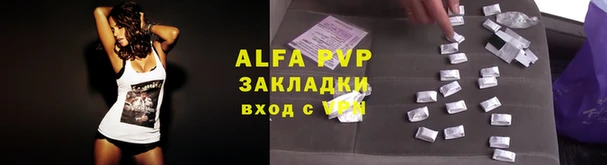 прущие грибы Алзамай