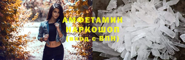 прущие грибы Алзамай