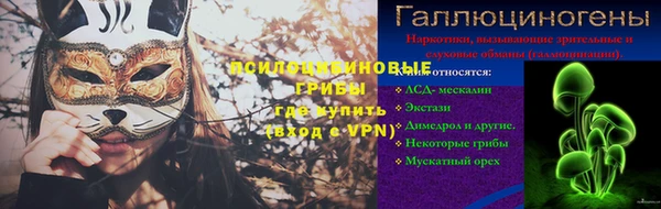 прущие грибы Алзамай